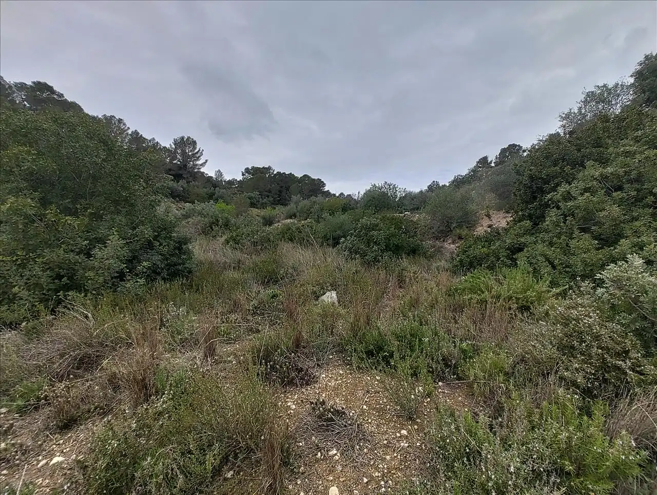 Terreny rústic en venda a Cantalars, Pol.9, Parc. 123(A,B,C Y D) Y Parcela 233. Barranco De Montell, imagen 9
