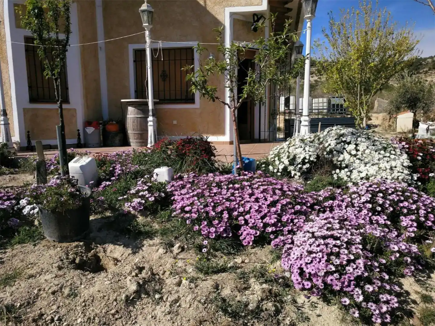 Jardí de Pis en venda en Relleu amb Jardí privat i Moblat