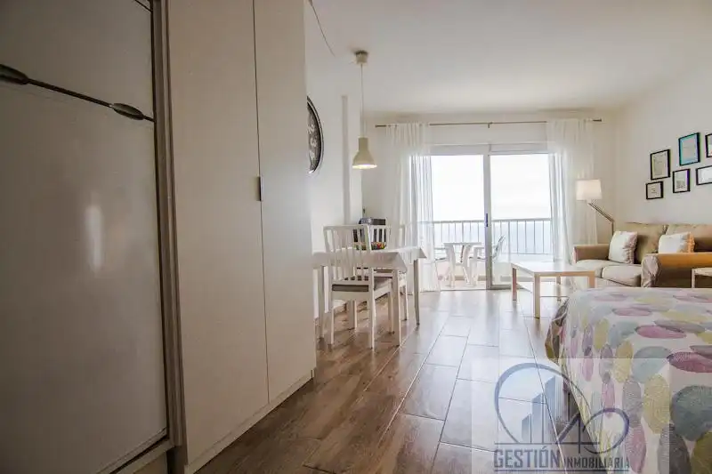 Study for sale in San Felipe - San Marcos - Las Cañas