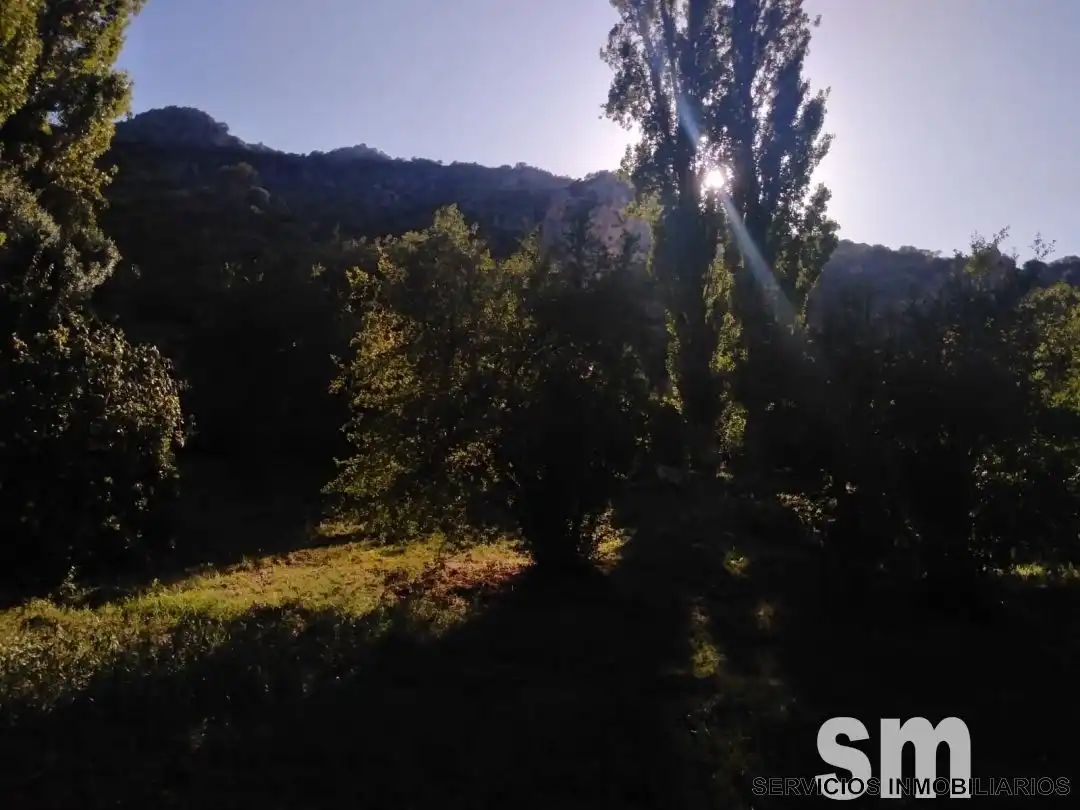 Terreno en venta en Zahara