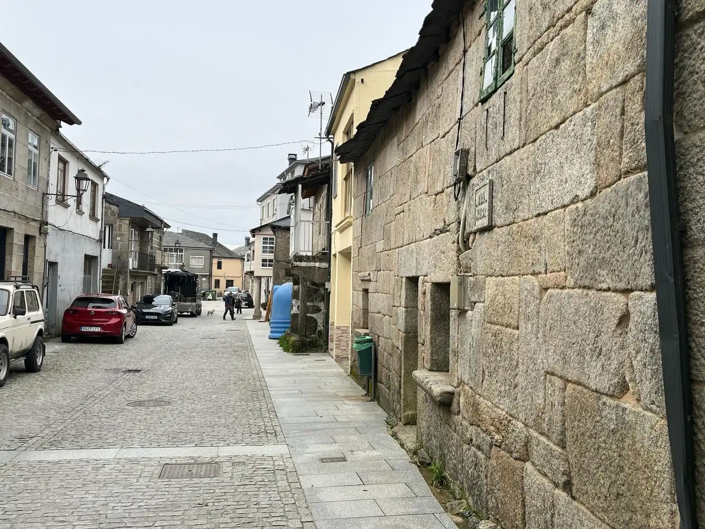 Vista exterior de Casa o xalet en venda en A Gudiña  amb Jardí privat