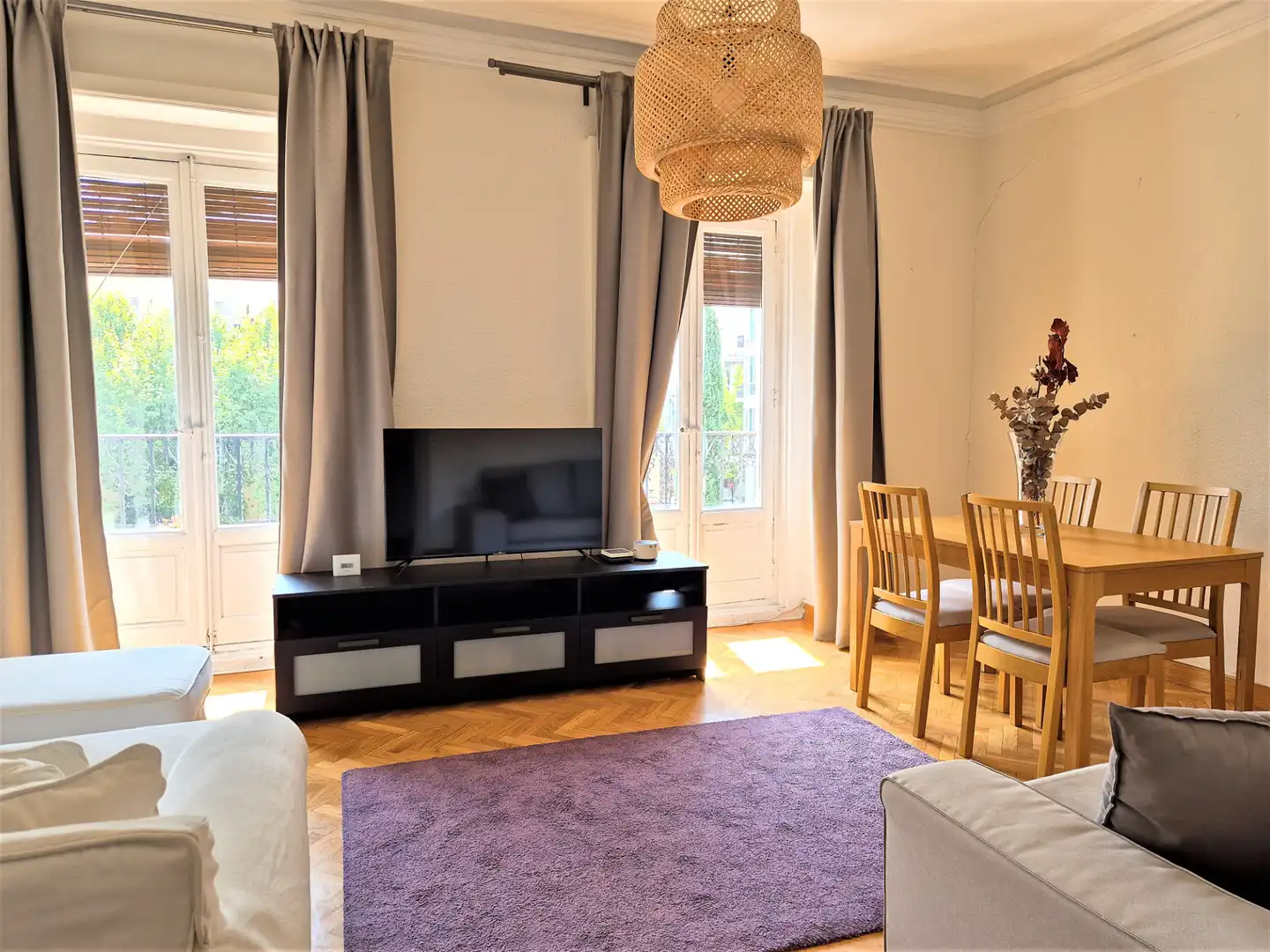 Living room of Flat for rent in Madrid  with Air Conditioner, Heating and Furnished