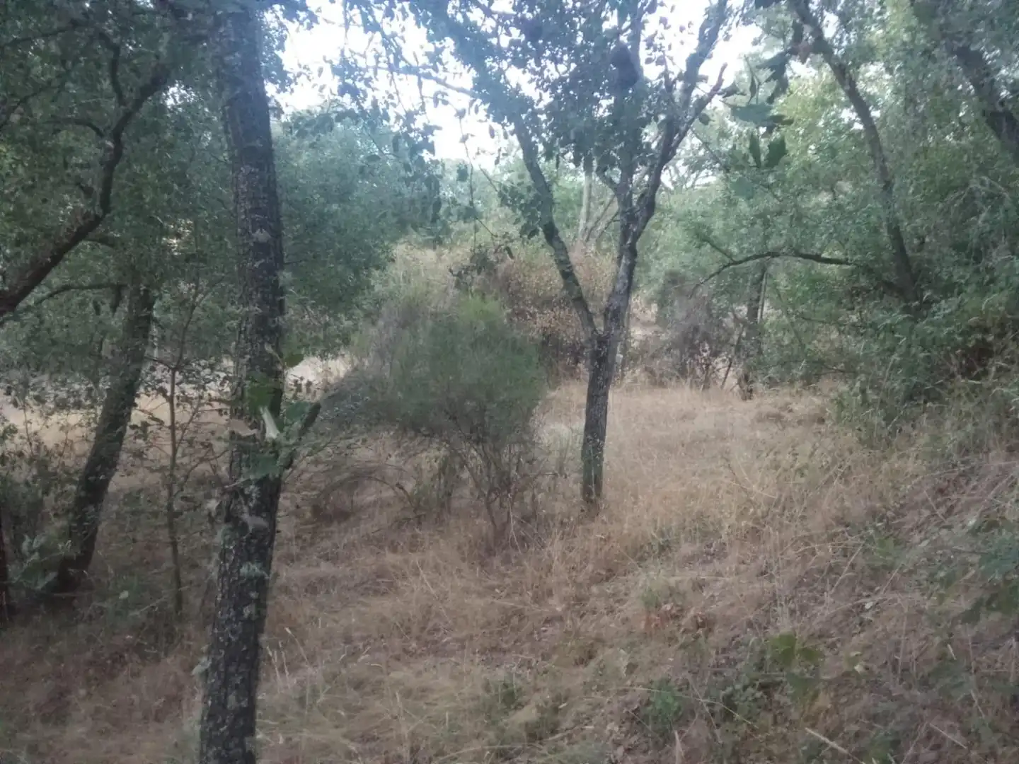Residential land for sale in Valdenuño Fernández, imagen 5