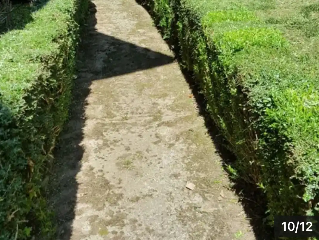 Exterior view of Houses for sale in As Nogais   with Private garden, Terrace and Storage room