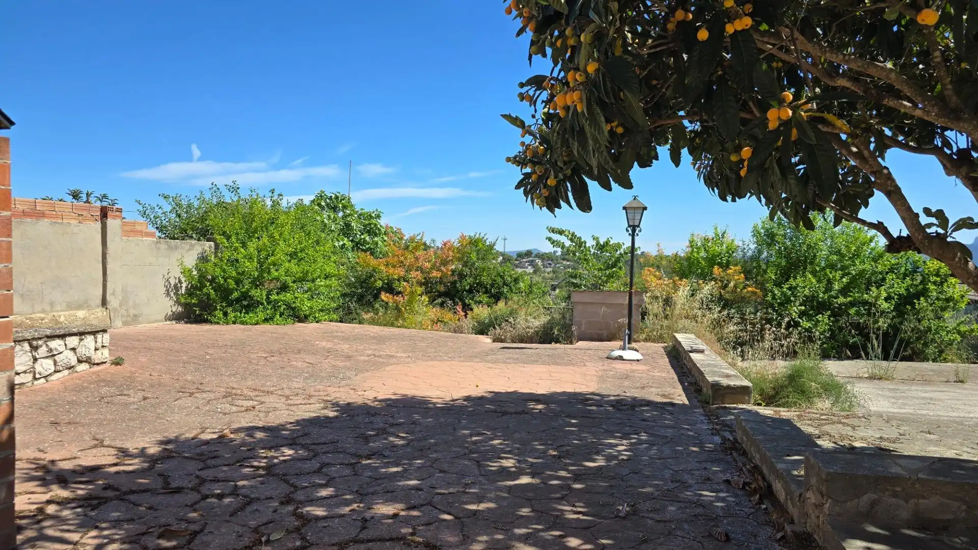 Jardín de Casa o chalet en venta en La Torre de Claramunt con Jardín privado y Terraza