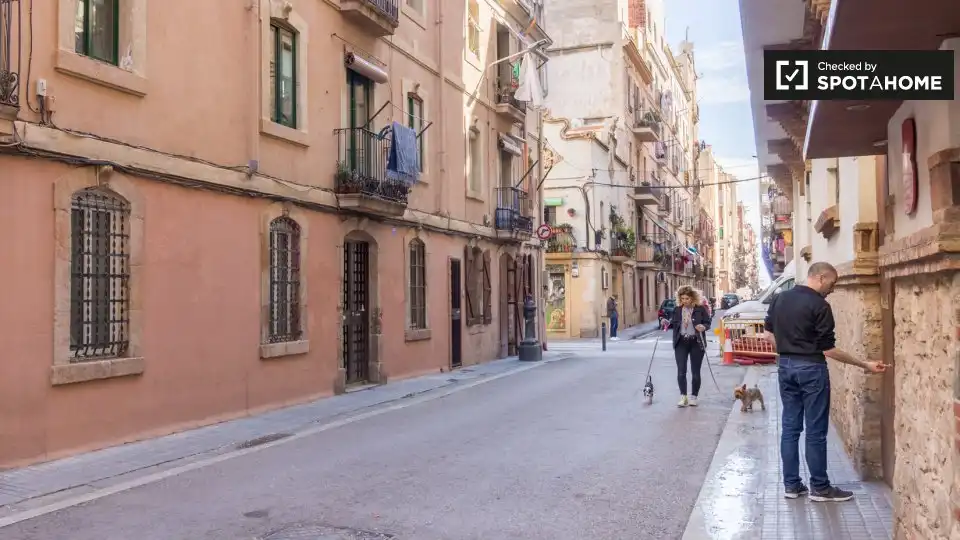 Piso con terraza en alquiler en Ciutat Vella, imagen 19