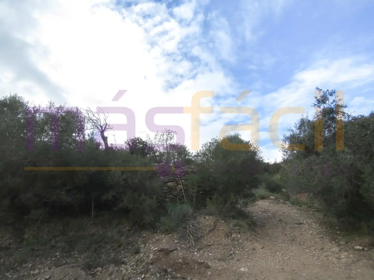 Finca rústica en venta en los Jarales, Perín
