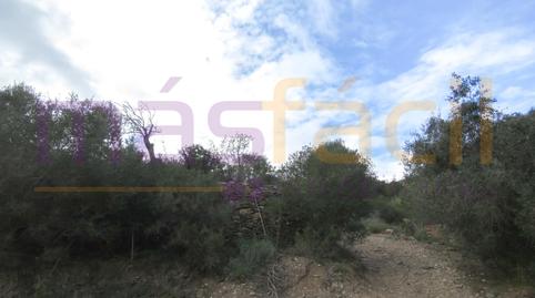 Foto 5 de Finca rústica en venta en Los Jarales, Perín, Murcia