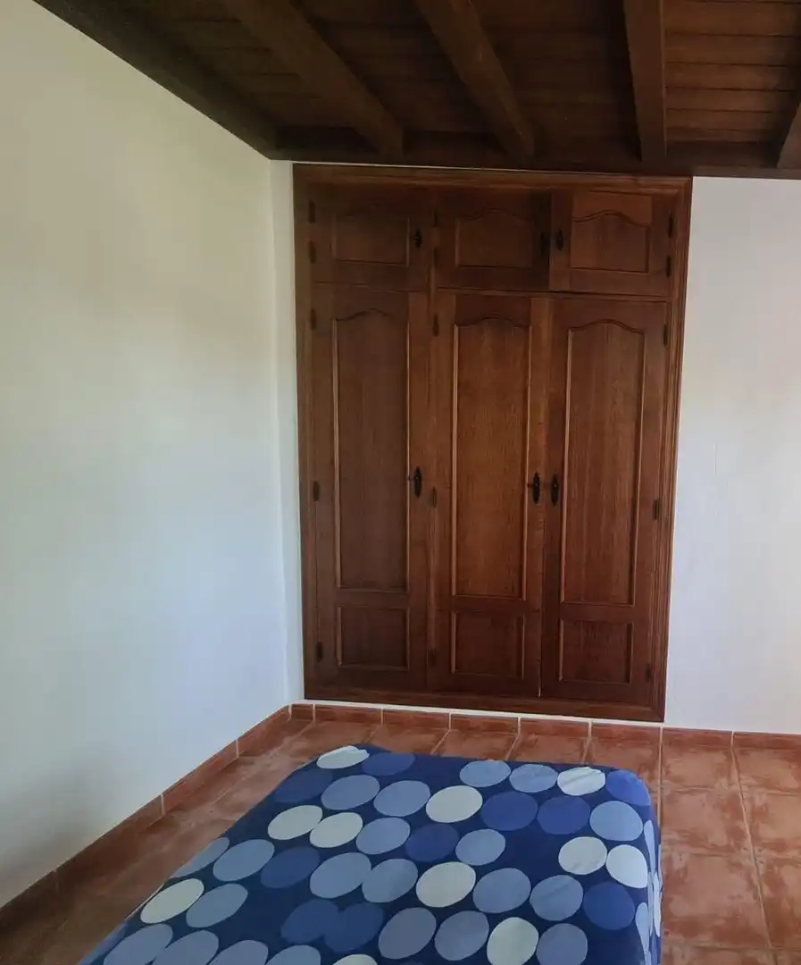 Haus mit Pool zur Miete in Avenida 28 de Febrero 110, imagen 30
