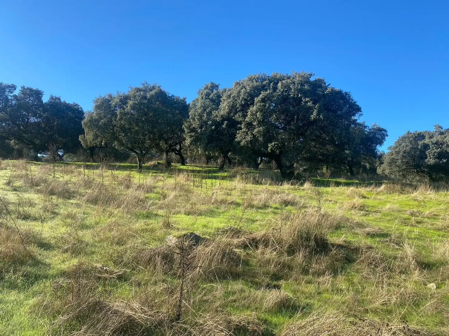 Country house zum Verkauf in El Real de San Vicente mit Klimaanlage, Heizung und Privatgarten