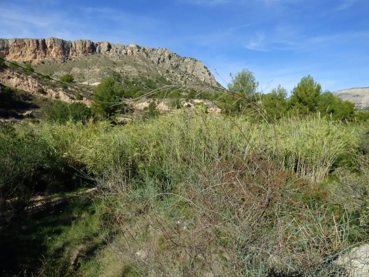Casa amb jardí en venda a Orxeta, imagen 19