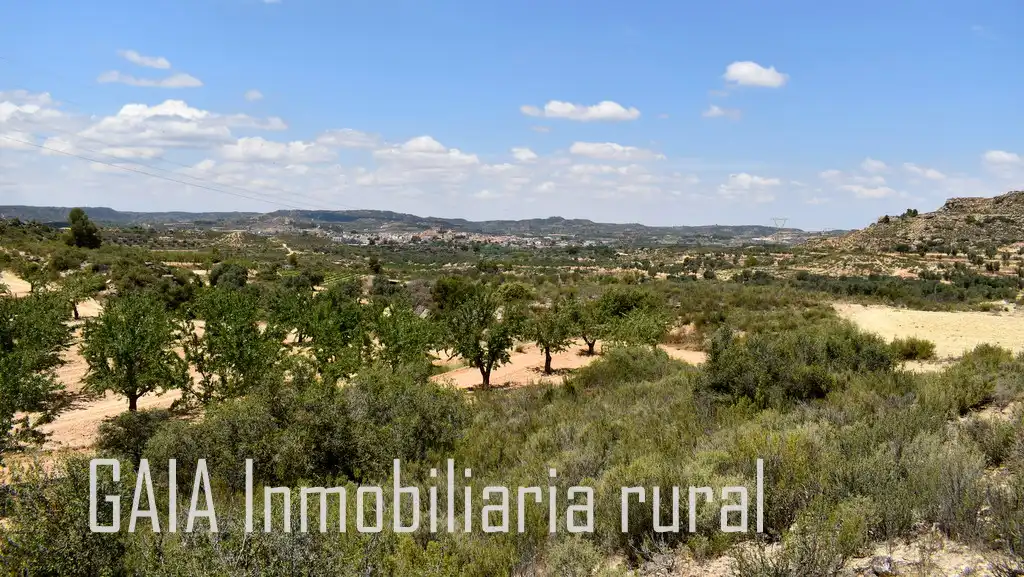 Terreny rústic en venda a Maella, imagen 10