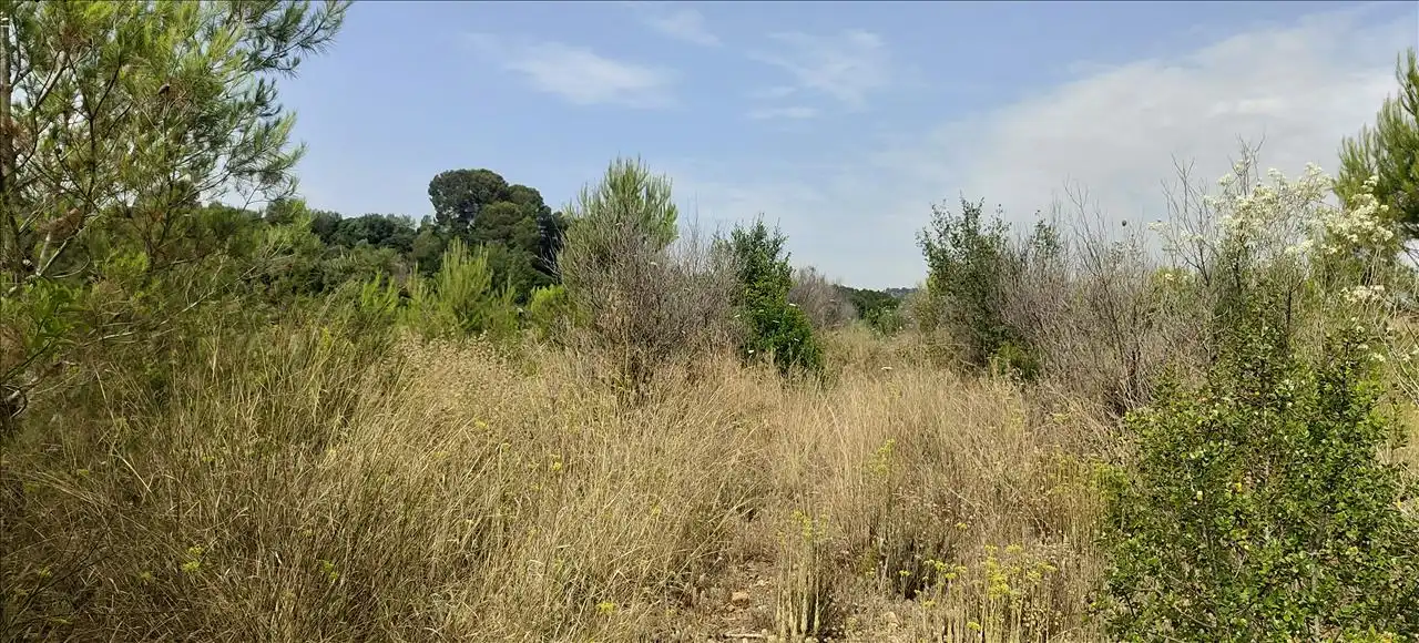 Terreno residencial en venta en Olivares, imagen 12