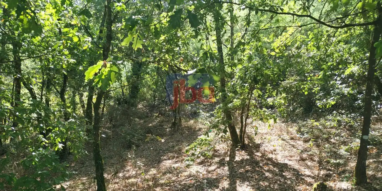 Terreni e lotti in vendita a O Pereiro de Aguiar, imagen 13