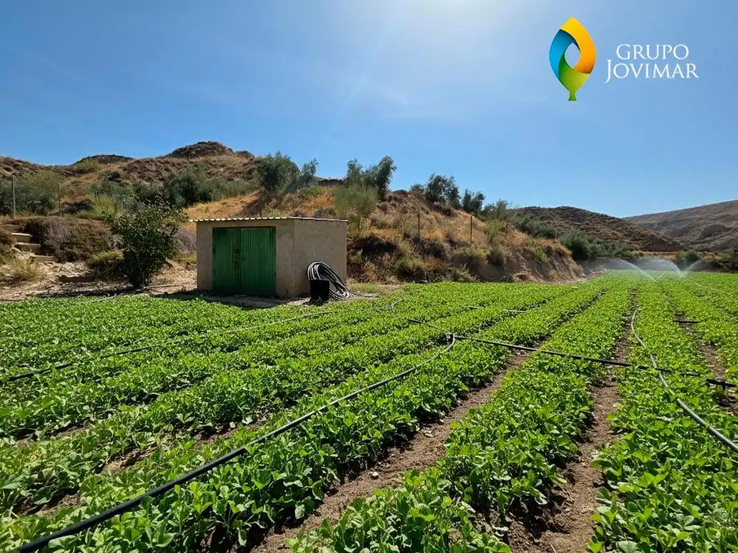 Jardín de Terreno en venta en Gorafe