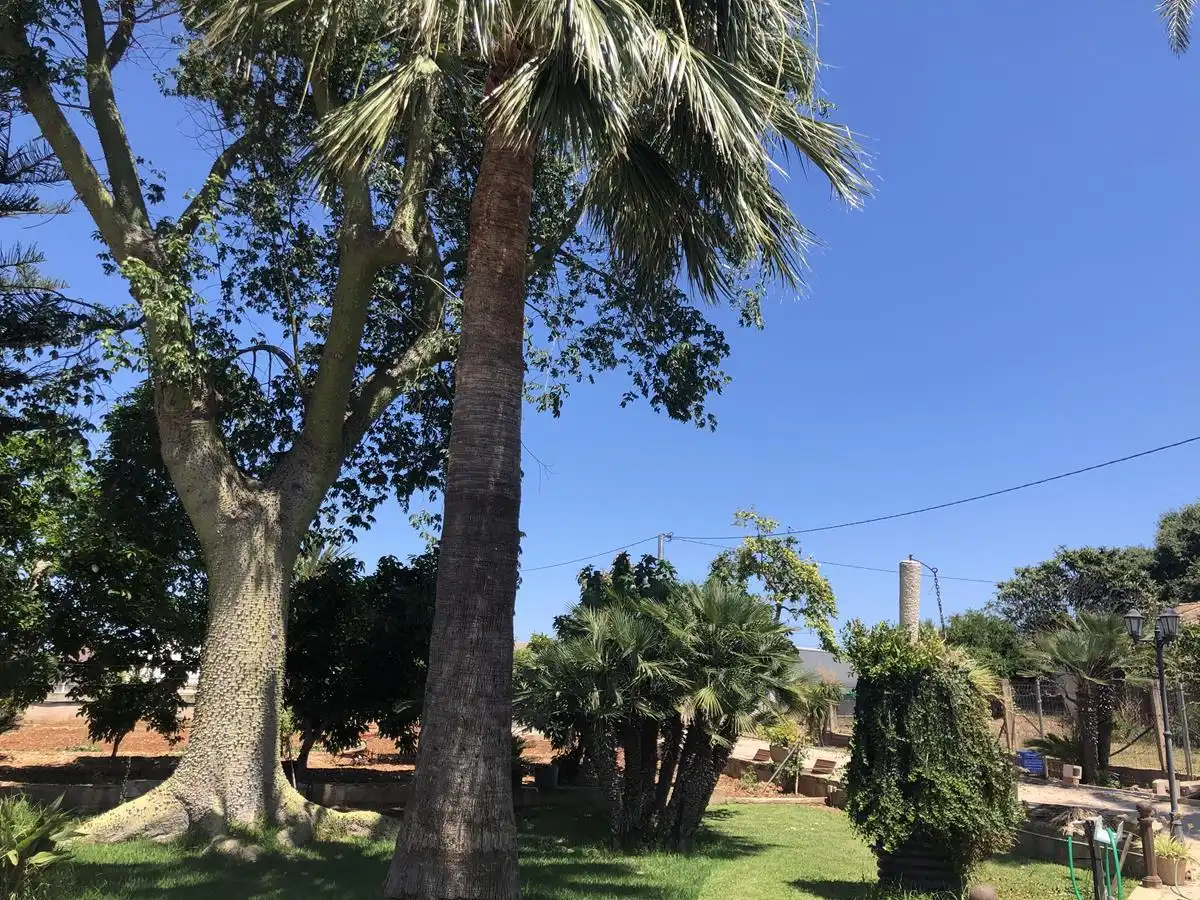 Maison rustique à vendre à Ondara, imagen 12