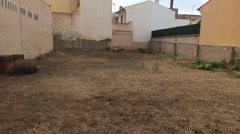 Immagine 2 dell'annuncio