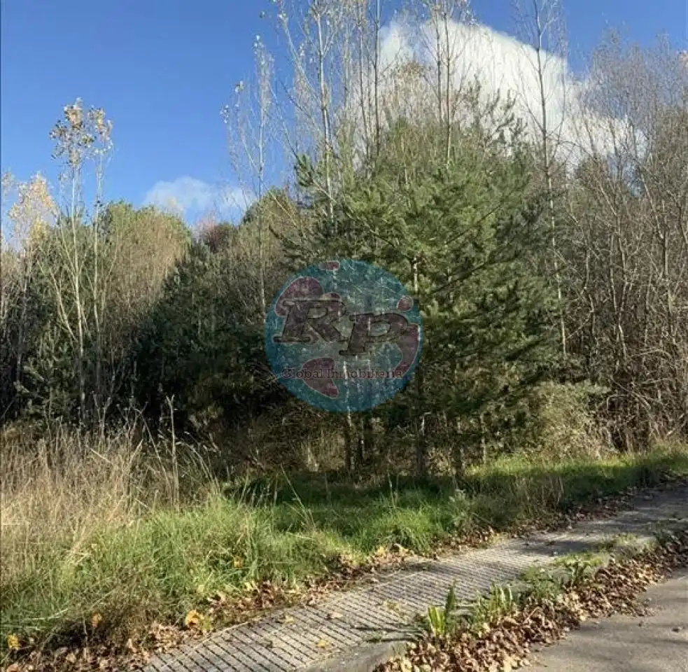 Terreni e lotti in vendita a Boñar