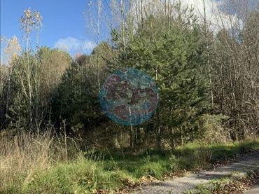 Terreno residenziale in vendita a Boñar