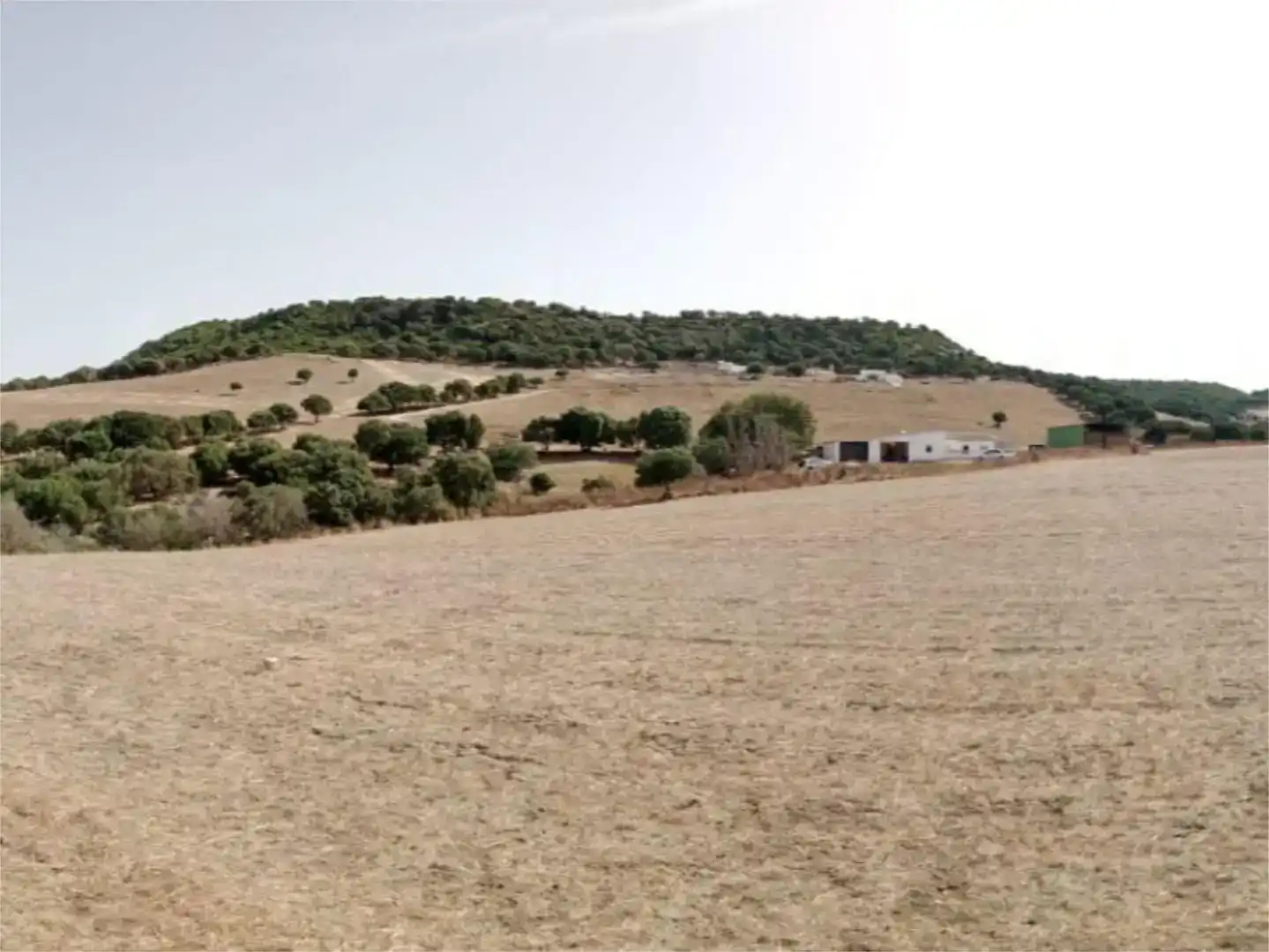 Country house zum Verkauf in Vejer de la Frontera
