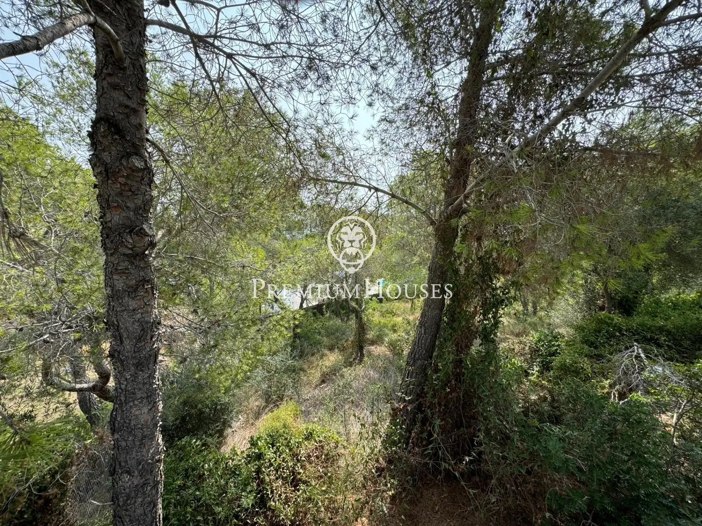 Terreny residencial en venda a Avenida del Camí de Miralpeix, imagen 7