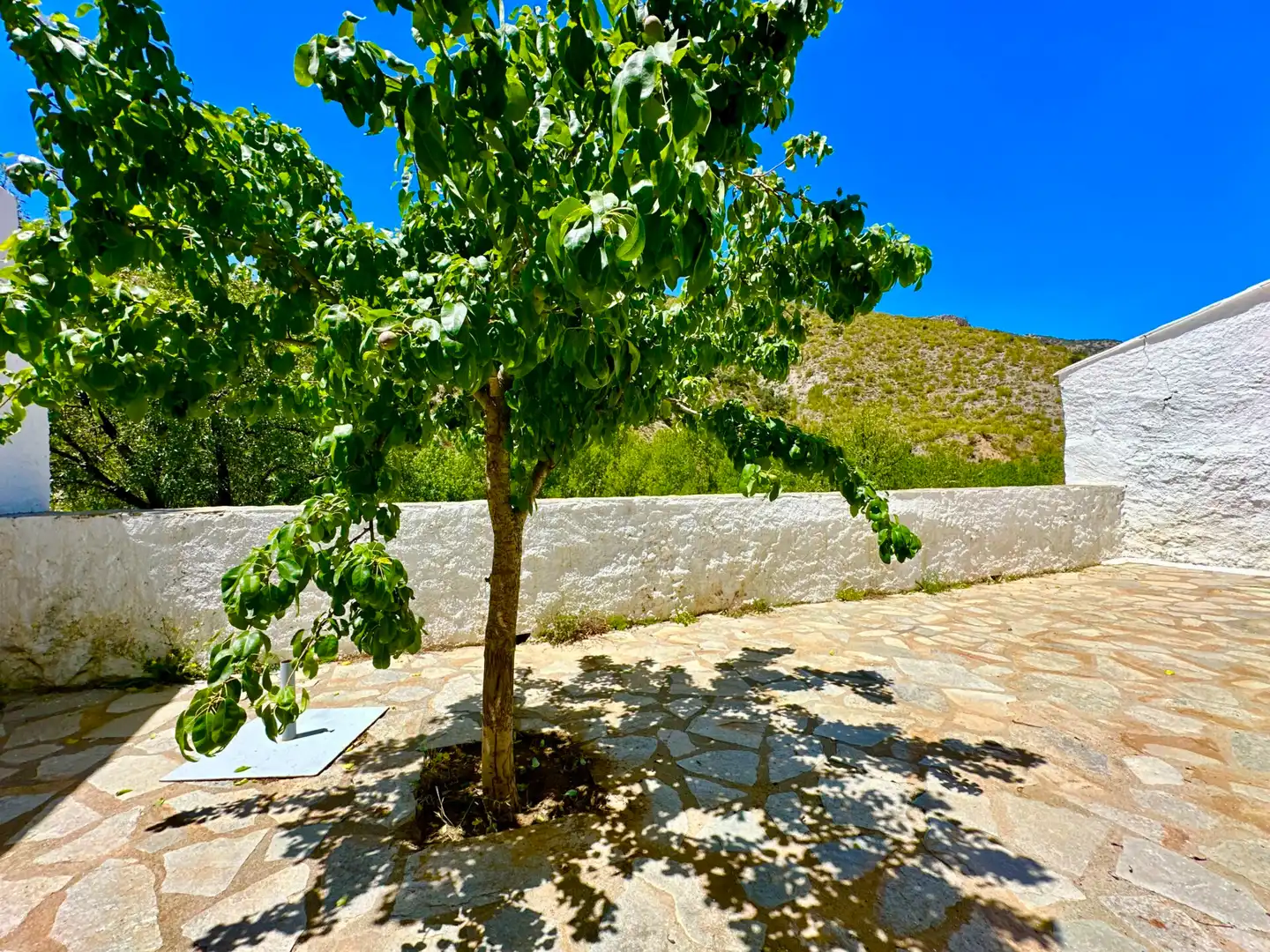 Jardí de Finca rústica en venda en Sierro amb Aire condicionat, Calefacció i Jardí privat
