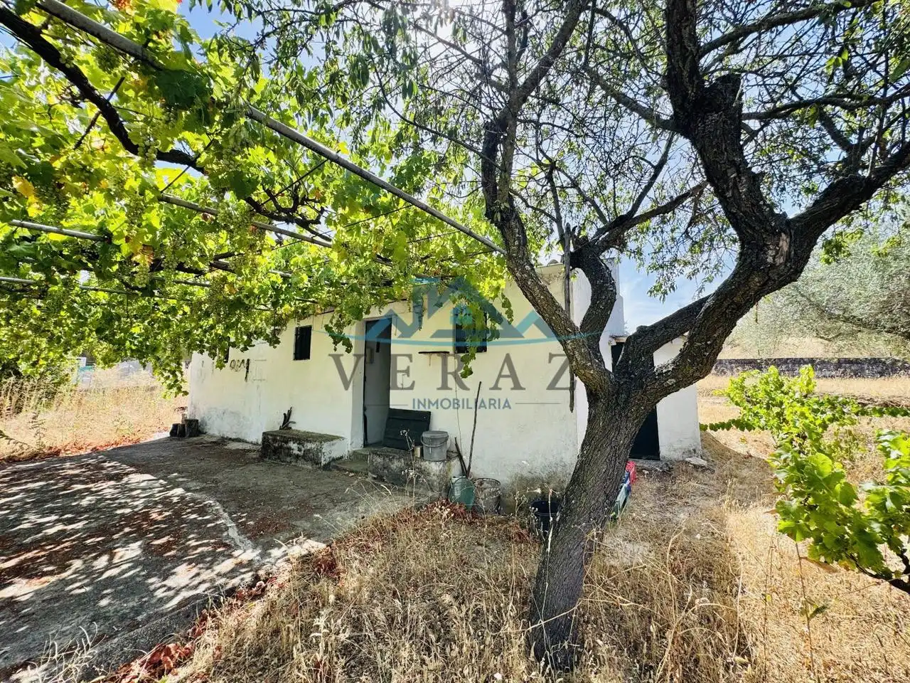 Terreno rústico en venta en Diseminado, imagen 10