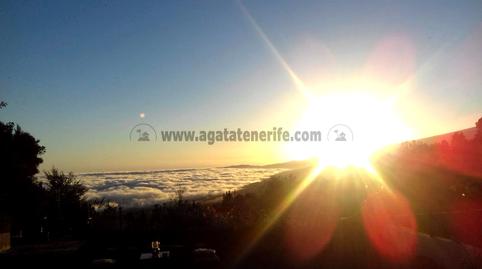 Foto 5 de Finca rústica en venda a La Vega - El Amparo - Cueva del Viento, Santa Cruz de Tenerife