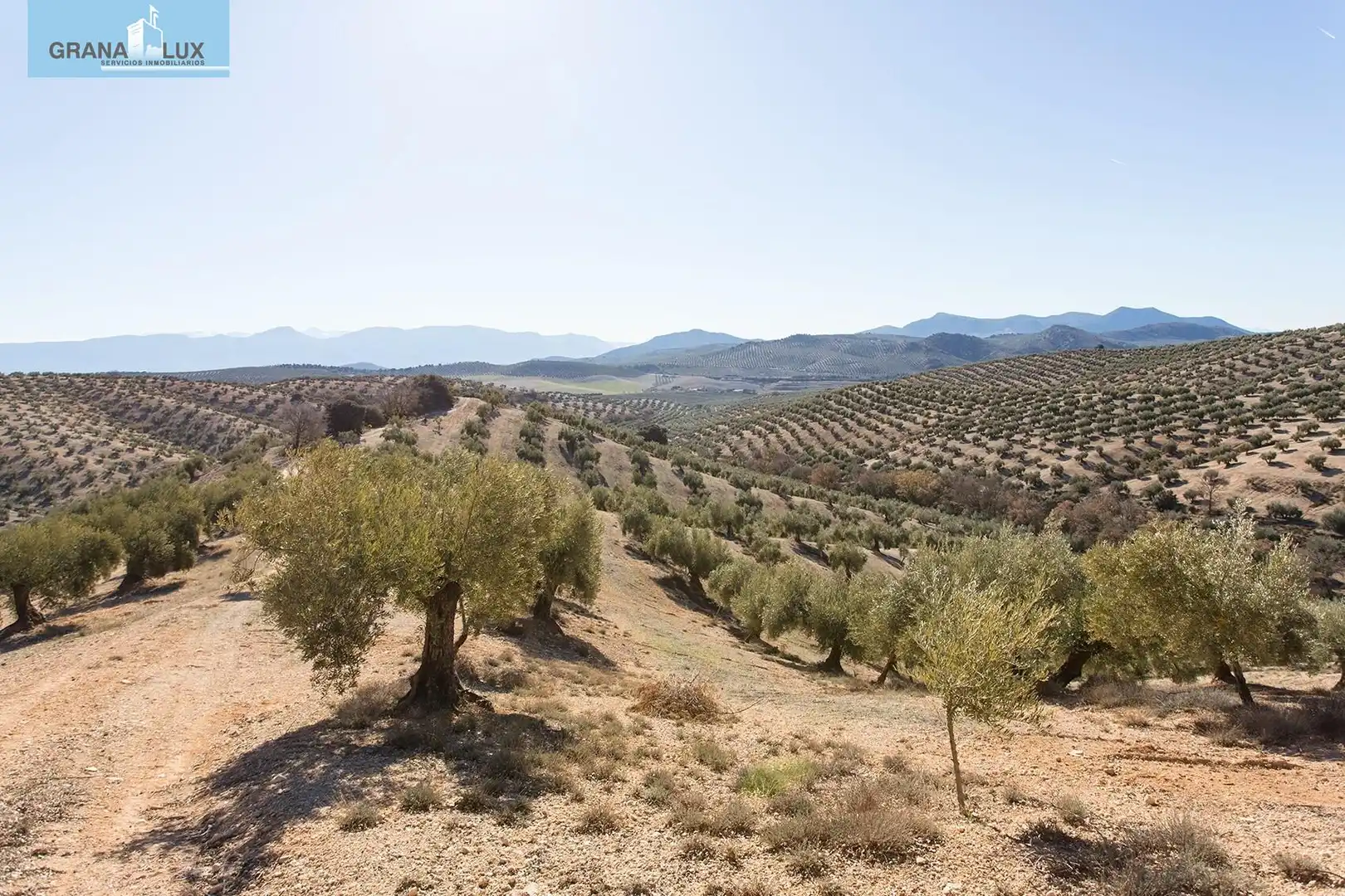 Land for sale in Campotéjar