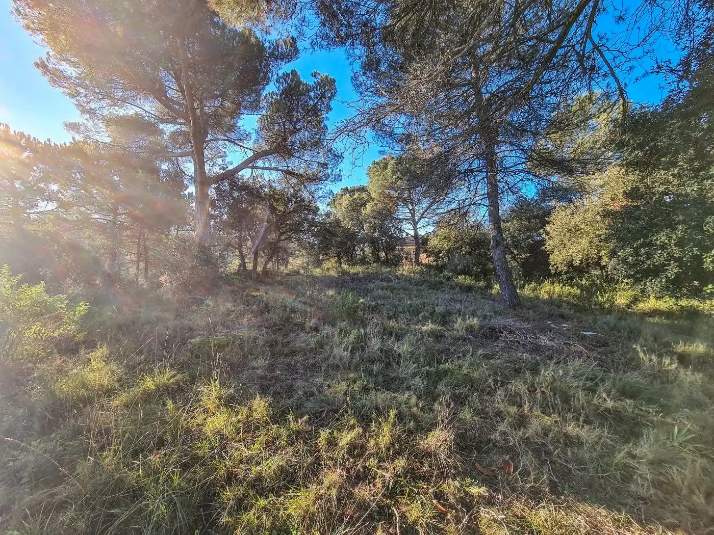 Wohnbaugrundstück zum Verkauf in Talamanca, imagen 2