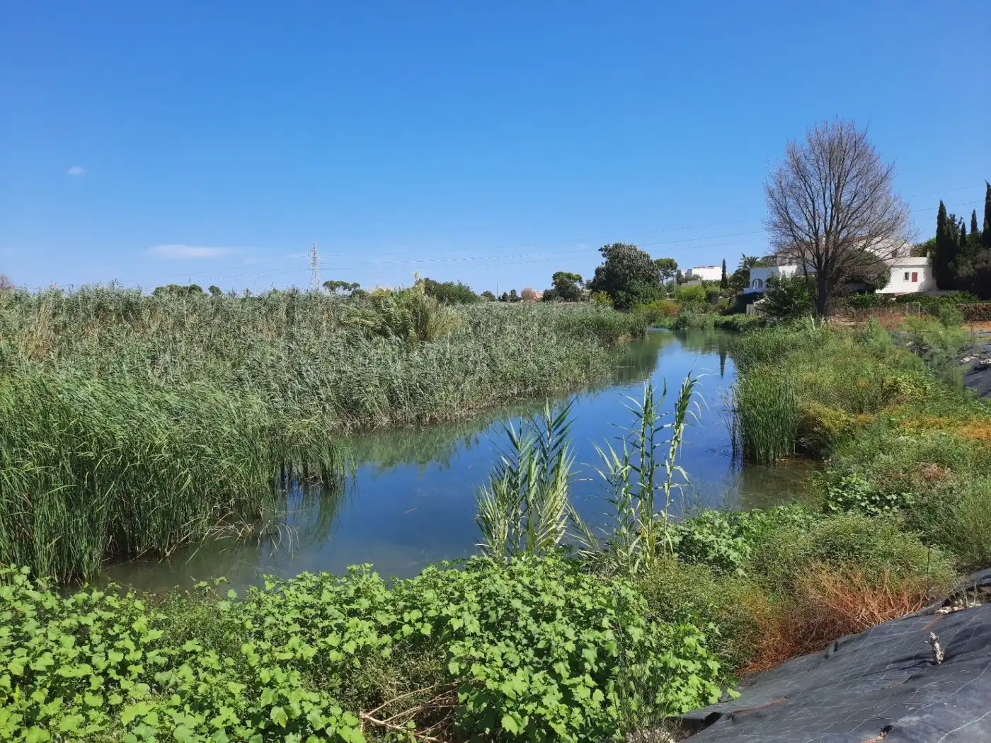 Vista exterior de Finca rústica en venta en Ondara con Aire acondicionado, Calefacción y Jardín privado