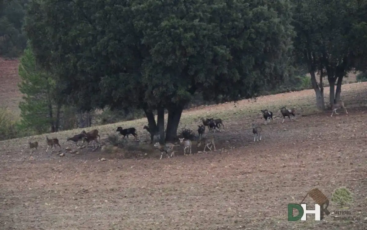 Terreni e lotti in vendita a San Fernando - Carretera de Valencia, imagen 11