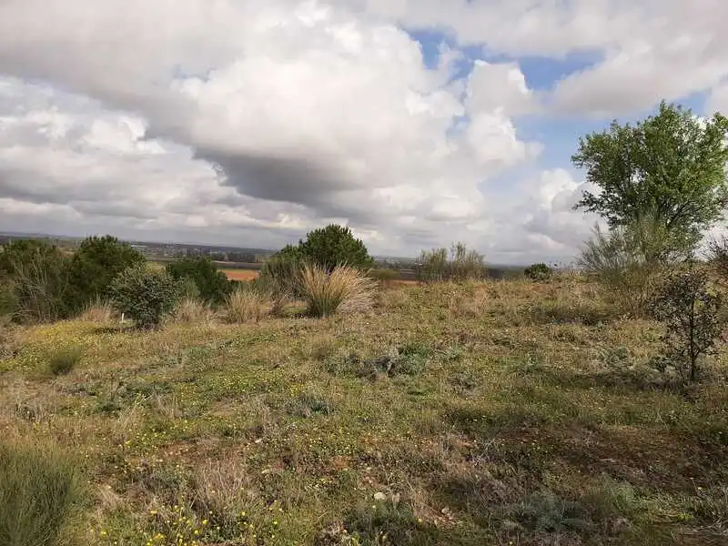 Terreni e lotti in vendita a GOLF DEL GUADIANA, imagen 13