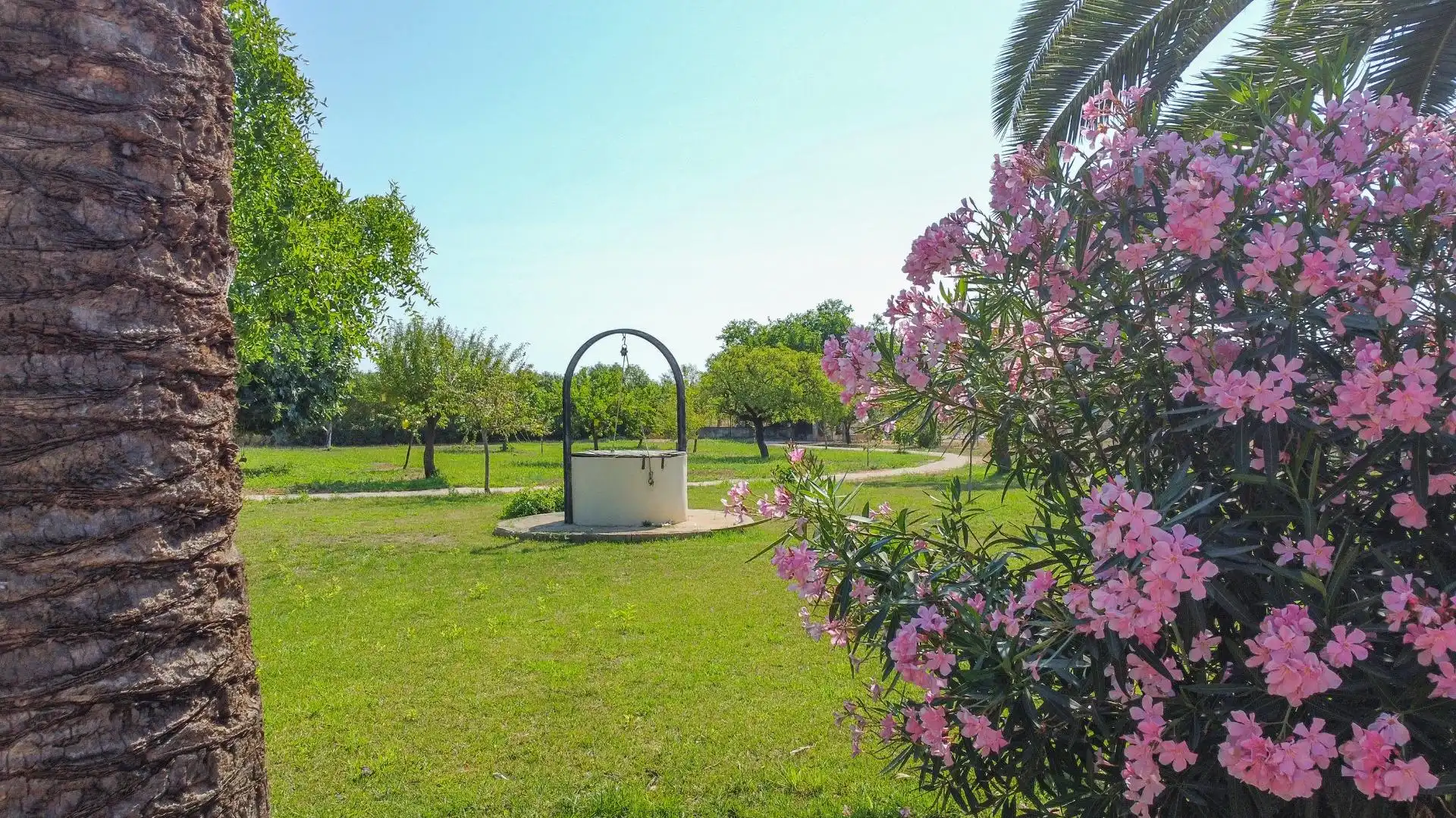 Country house with pool for sale in Binissalem, imagen 14