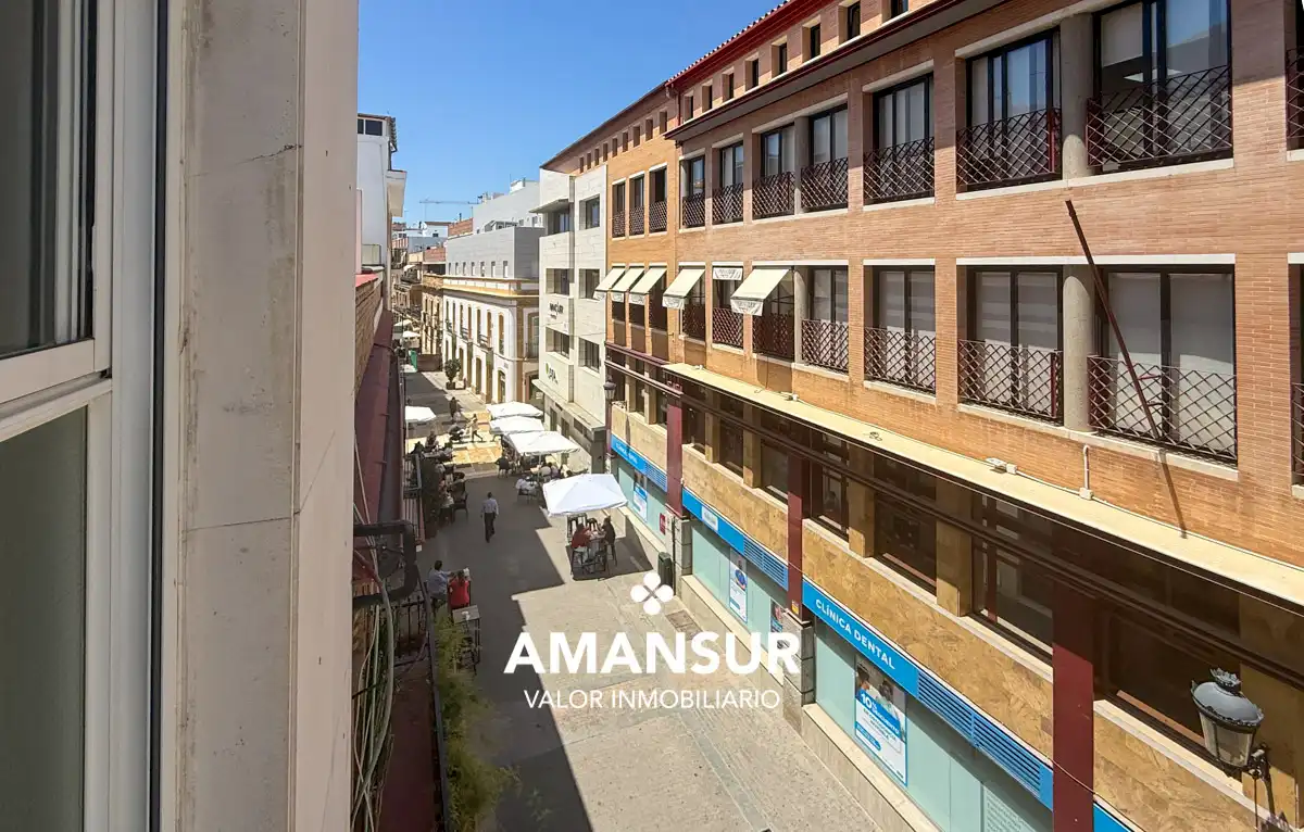Oficina amb ascensor de lloguer a Avenida Martín Alonso Pinzón, imagen 2