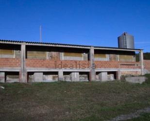 Nau industrial de lloguer a Sant Feliu Sasserra