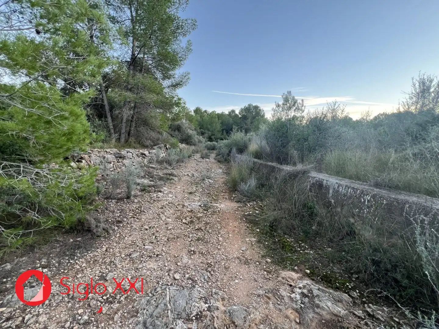Terreni e lotti in vendita a La Vall d'Uixó, imagen 7