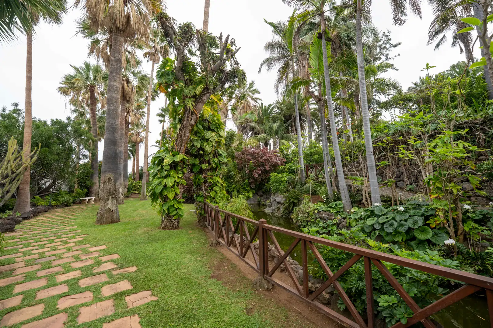 Garten von Wohnung zum Verkauf in Los Realejos mit Möbliert, Balkon und Gemeinschaftspool