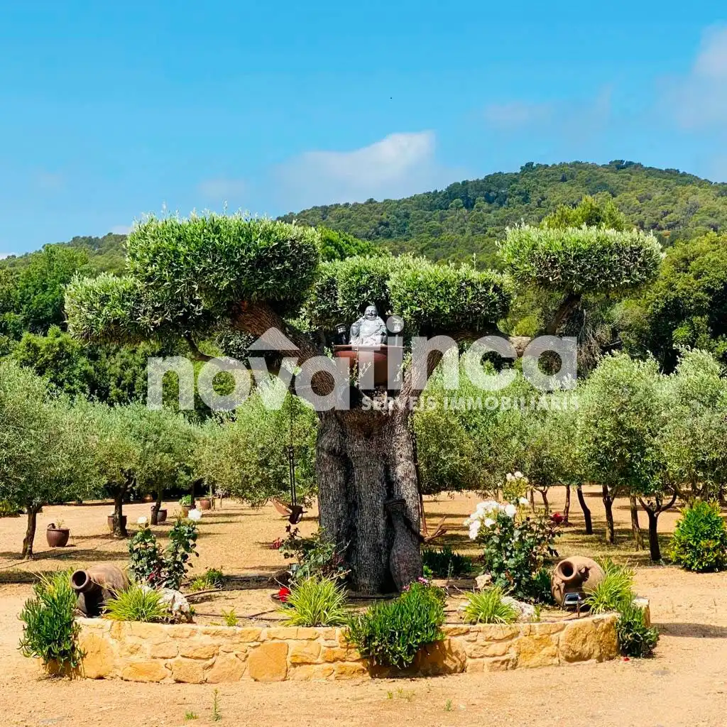 Casa rustica con giardino in vendita a Mont-ras, imagen 6