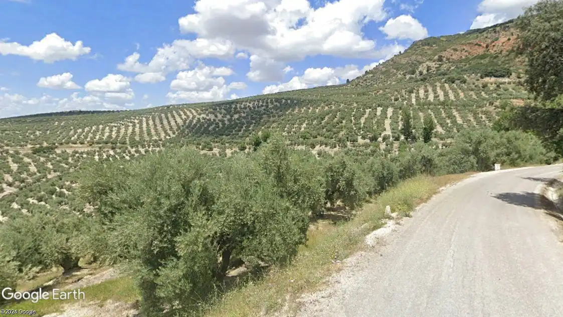 Terreni e lotti in vendita a Quesada, imagen 5