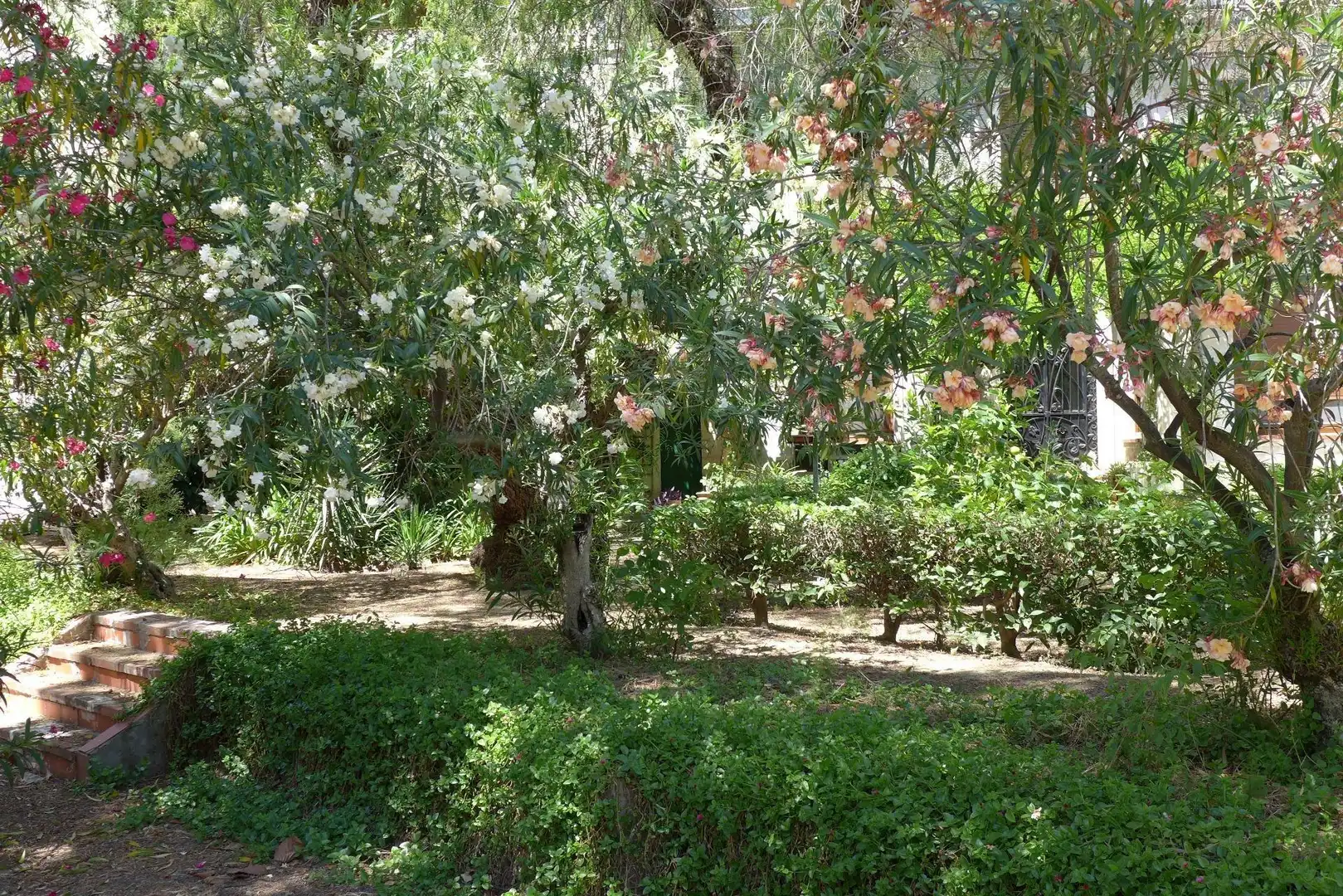 Garten von Haus oder Chalet zum Verkauf in Cocentaina mit Terrasse, Abstellraum und Balkon