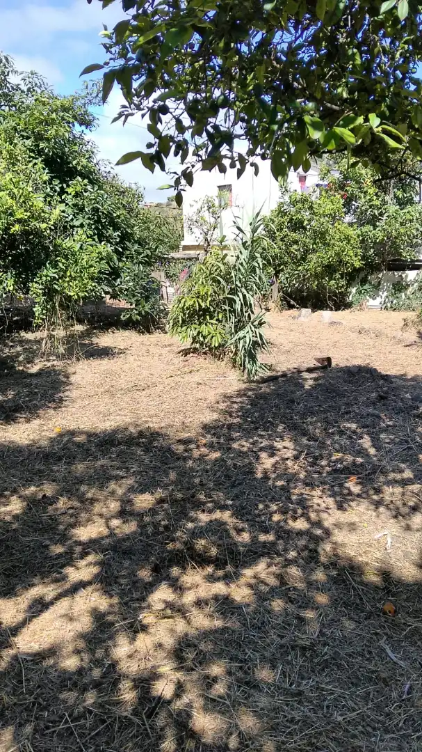 Finca rústica en venda en Santa Brígida