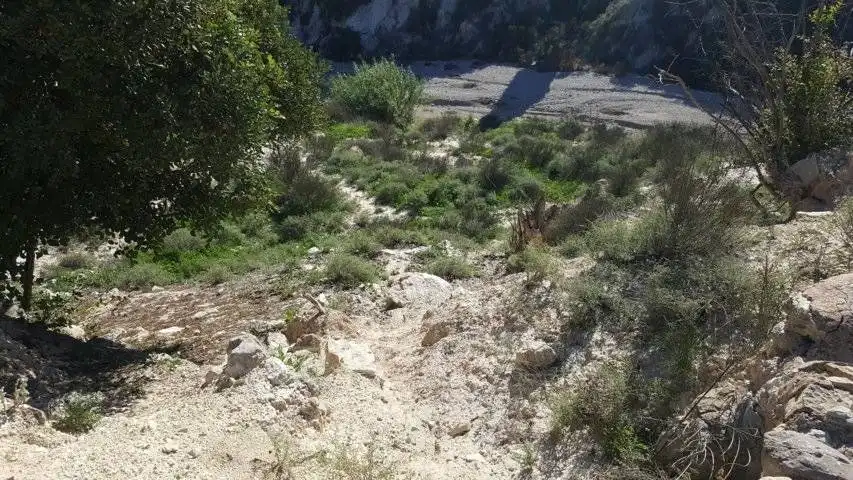 Finca rústica en venta en Ricote
