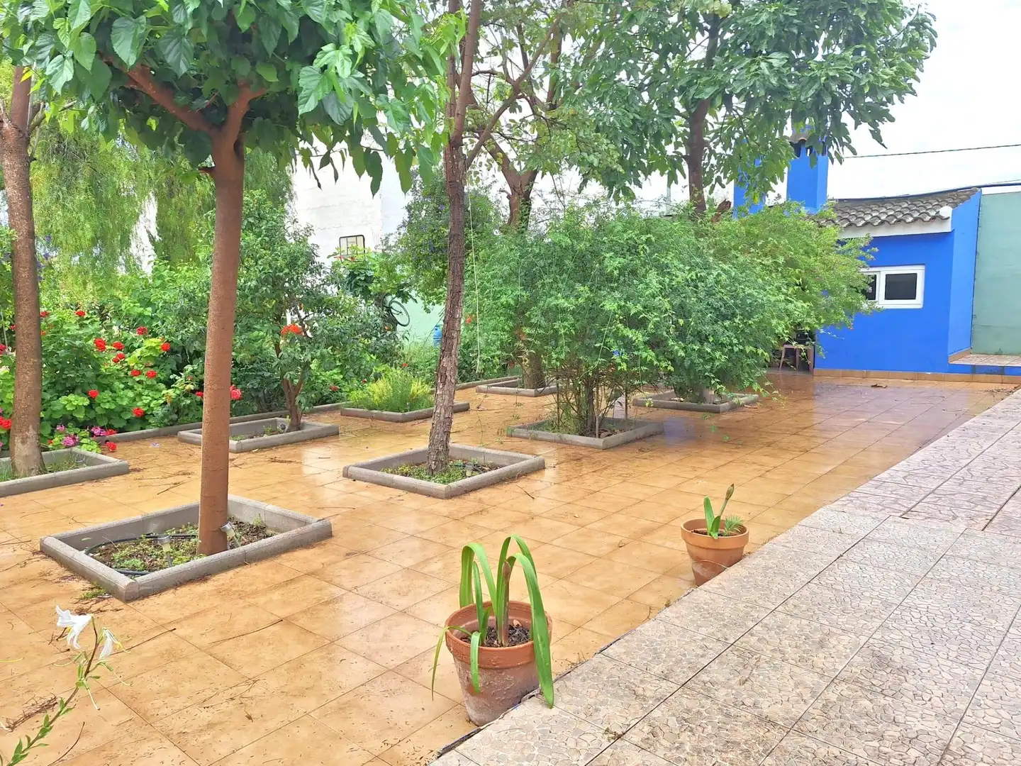 Country homes for sale in Sangonera la Seca