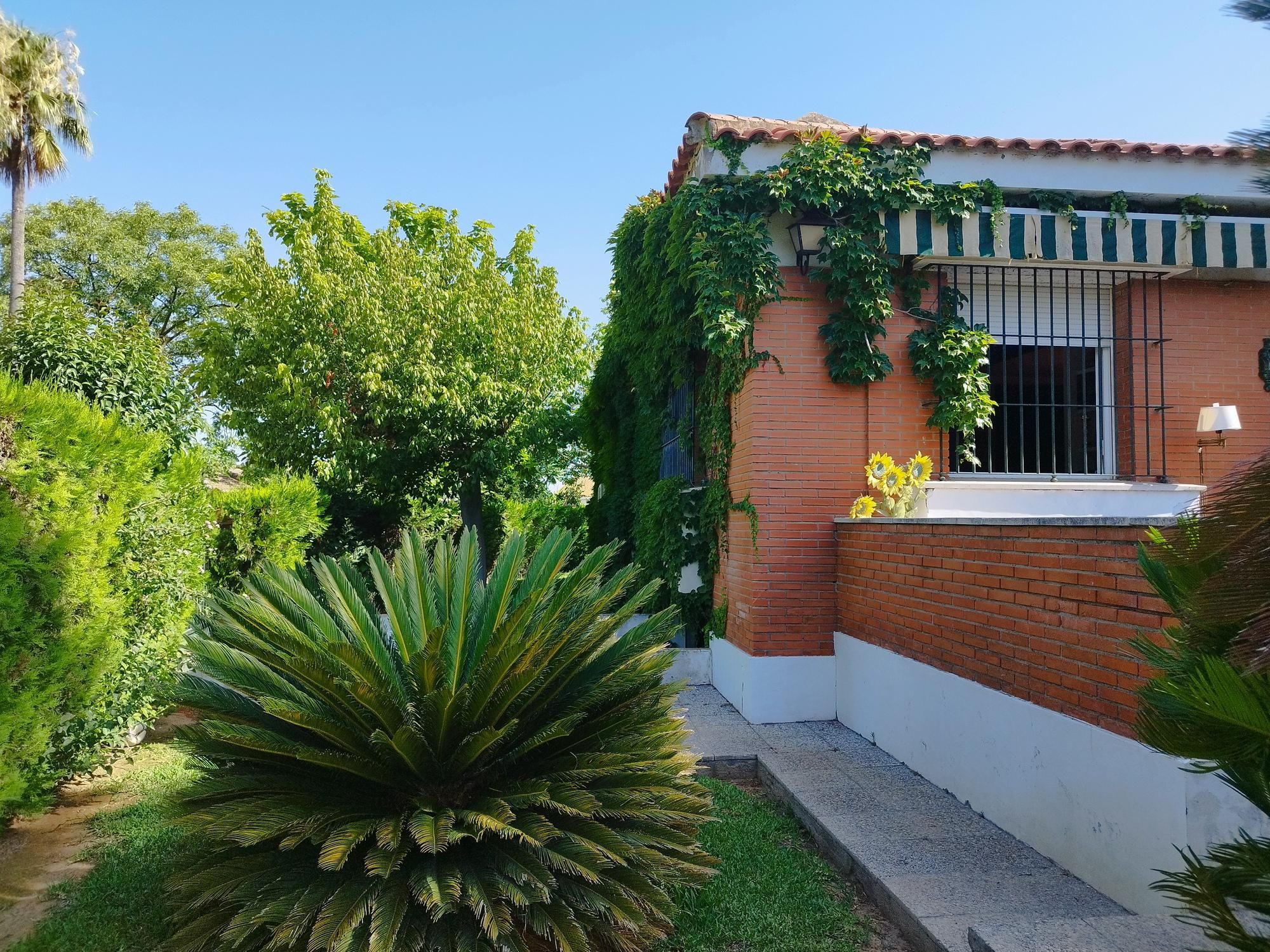 Jardín de Casa o chalet en venta en Carmona con Jardín privado y Piscina