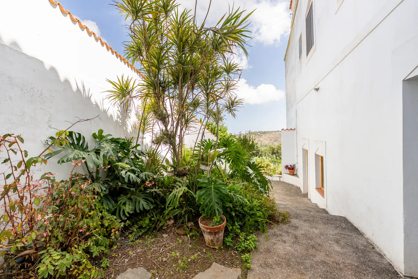 Casa con jardín en venta en Calle las Paredes 12, imagen 14