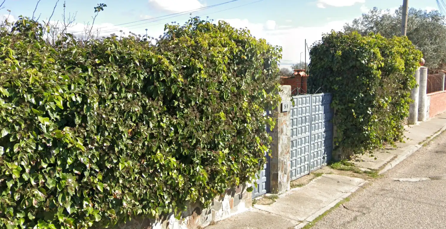 Vista exterior de Casa o xalet en venda en Carranque