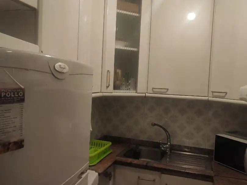 Apartament amb ascensor de lloguer a Vicente Blasco Ibáñez 25, imagen 12