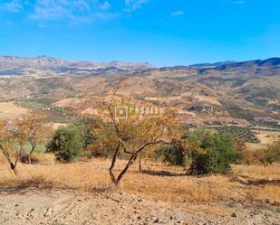 Industrial land for sale in Almogía