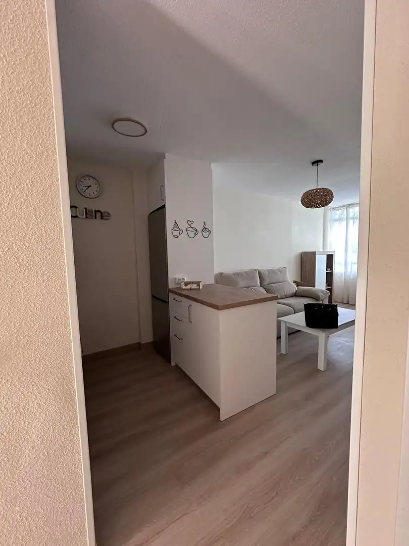 Flat for rent in de Holanda, Mil Palmeras